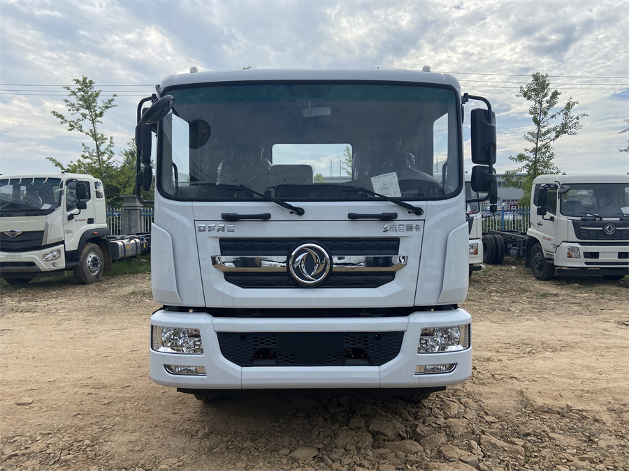 東風D9（3950，康明斯230）國六 內(nèi)飾照片圖