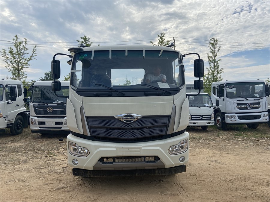 福田ES7（4500，濰柴220）國六 內(nèi)飾照片圖