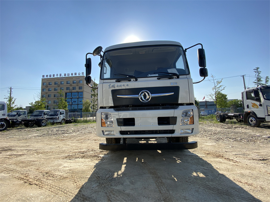東風(fēng)D3V（后雙橋，康明斯260）國六 內(nèi)飾照片圖